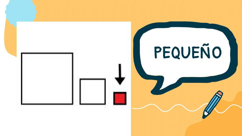 Grande -pequeño