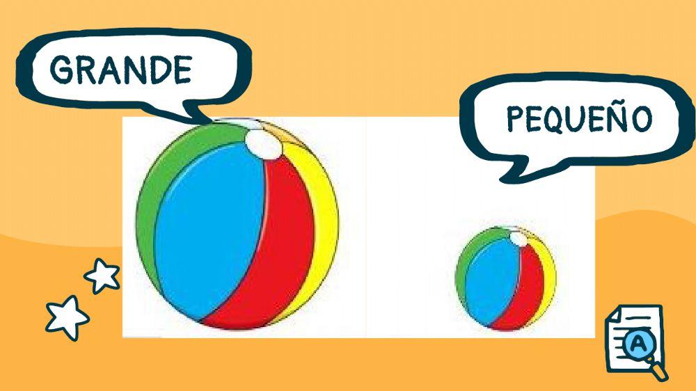 Grande -pequeño