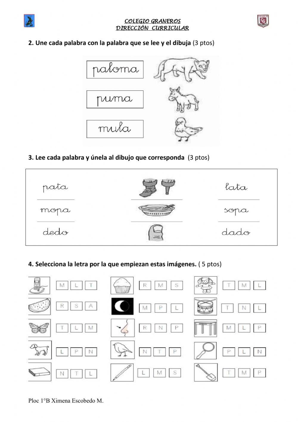 Diagnostico prueba D.I.A
