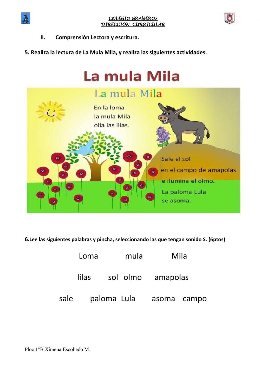 Diagnostico prueba D.I.A