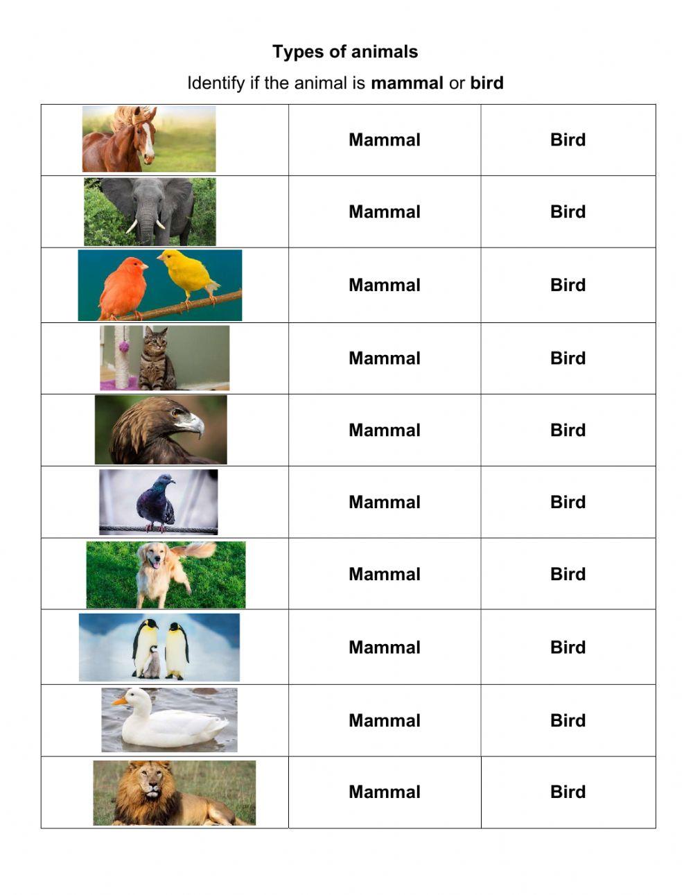 Actividad 42 - Tipos de animales