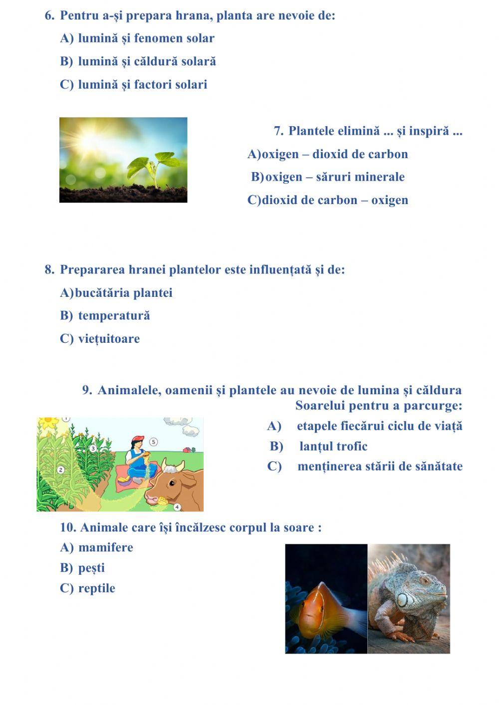 Soarele-sursă de lumină și căldură