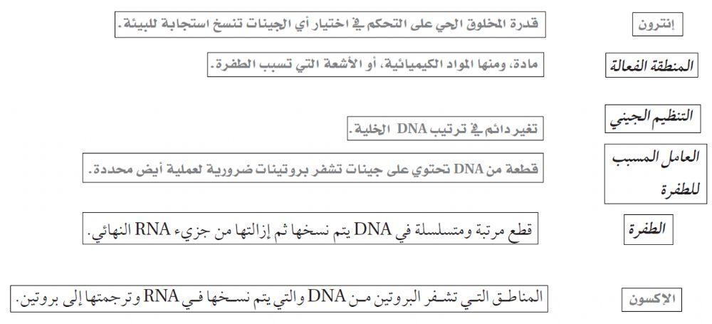 التنظيم الجيني