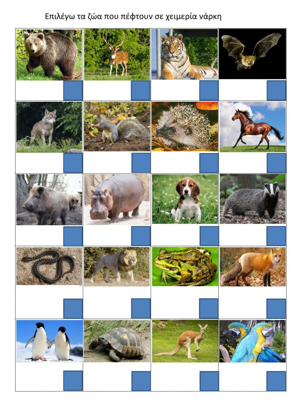 Επιλέγω τα ζώα ου πέφτουν σε χειμερία νάρκη