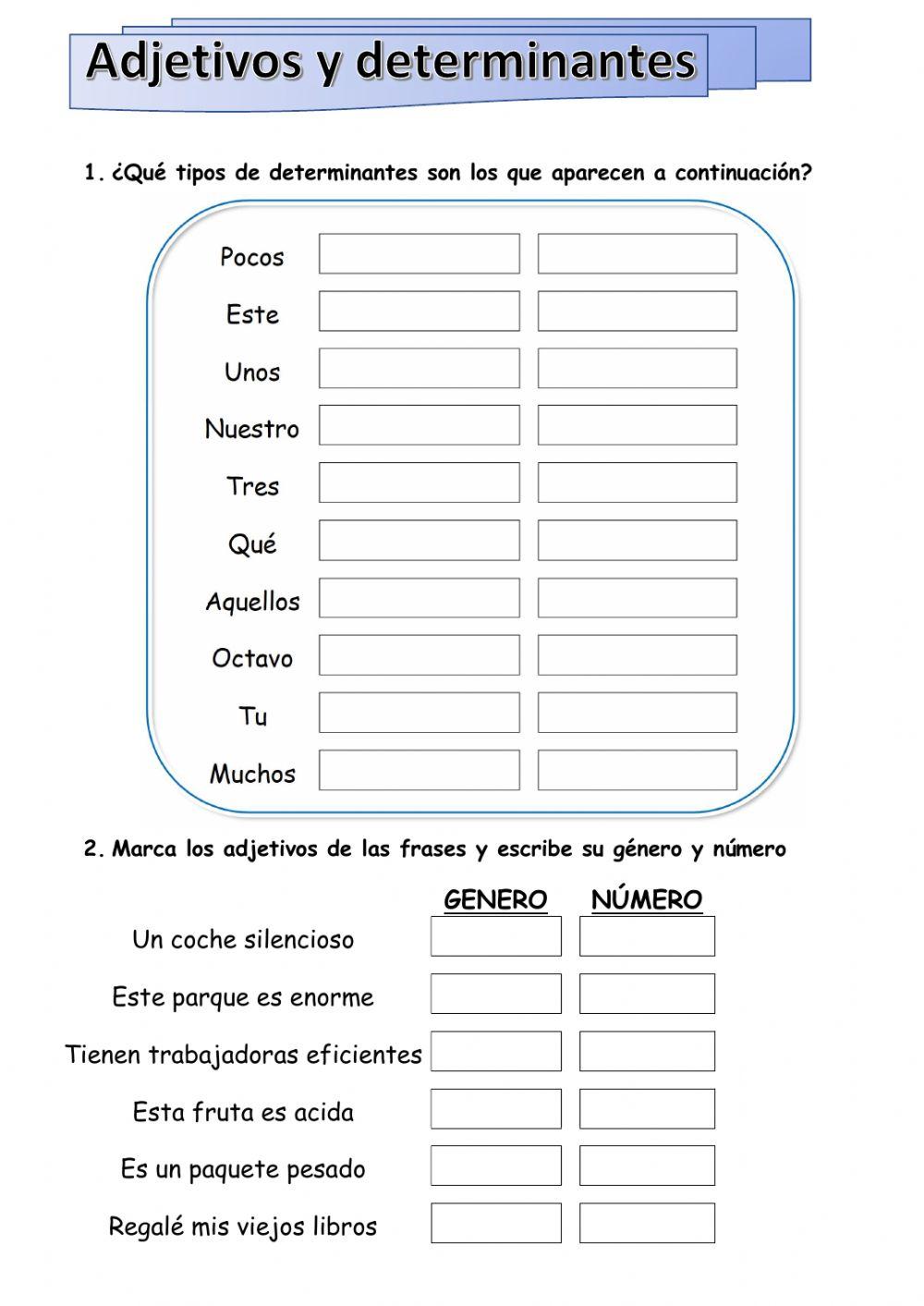 Ejercicios adjetivos y determinantes