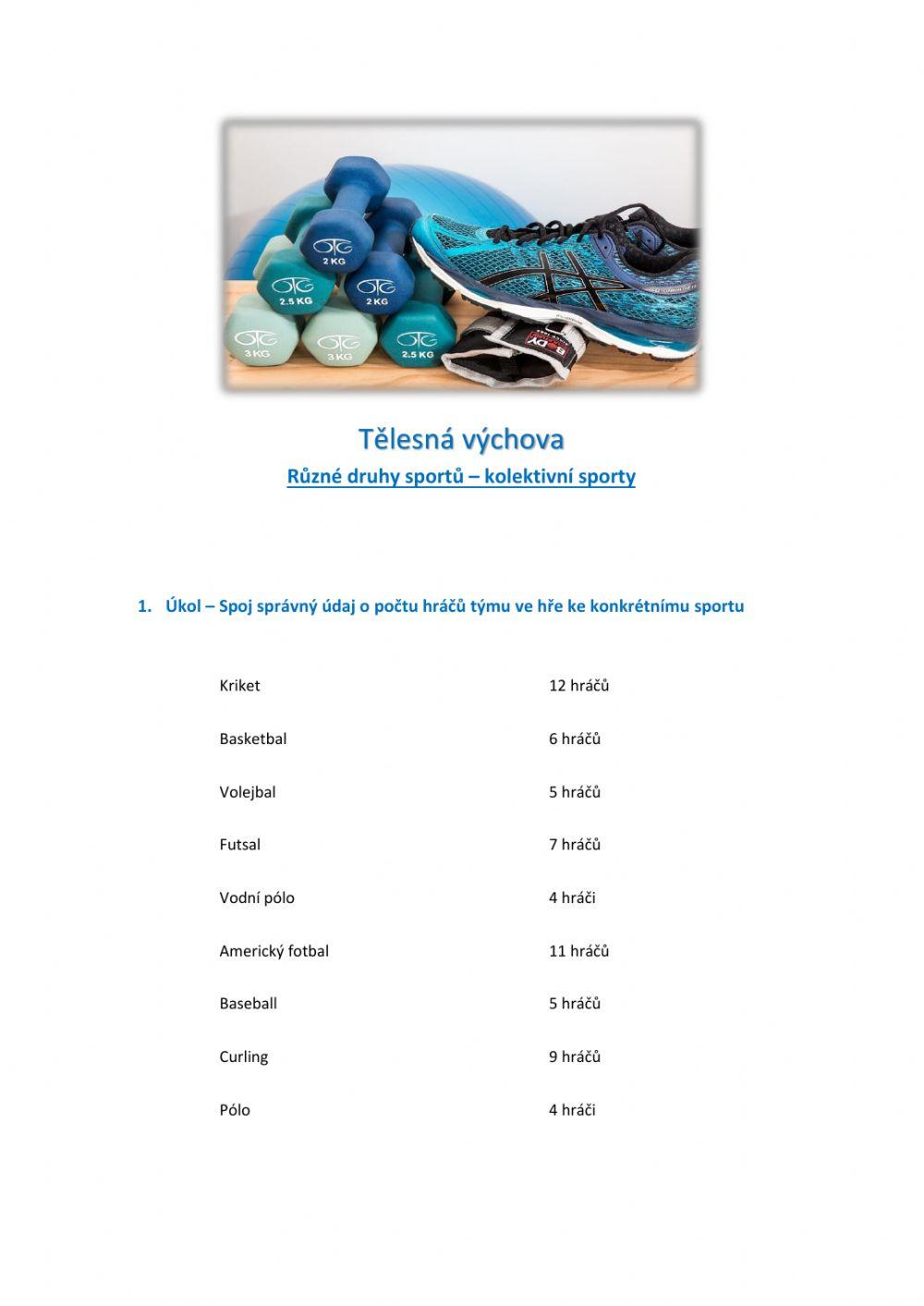 Pracovní list - Kolektivní sporty