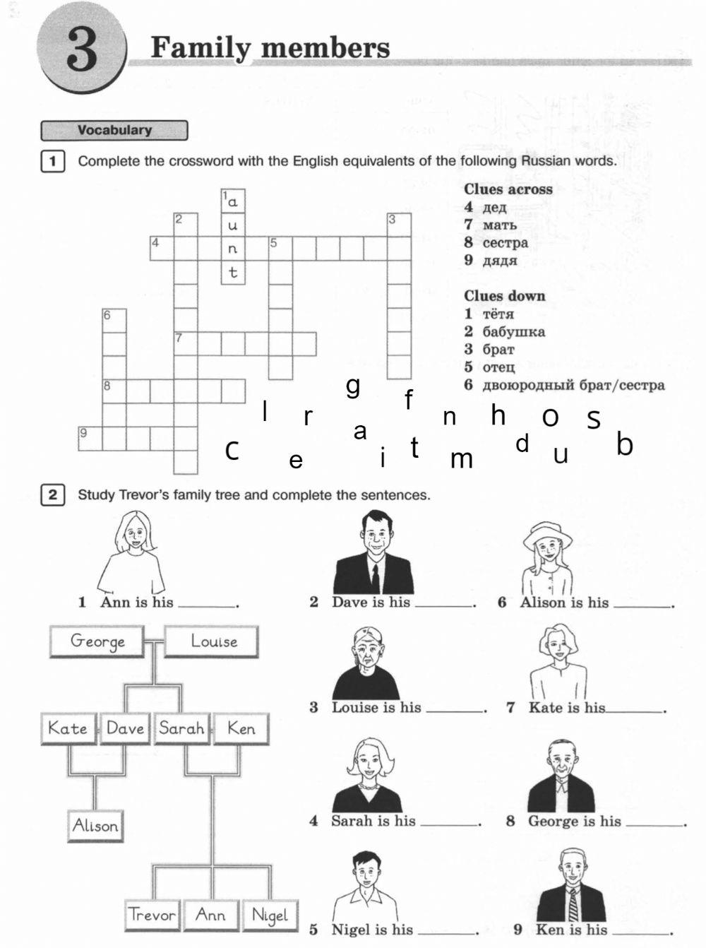 Vocabulary complete the crossword. Family members на английском 6 класс. Английский язык задания на тему семья. Упражнения по английскому по теме семья. Семья на английском языке.