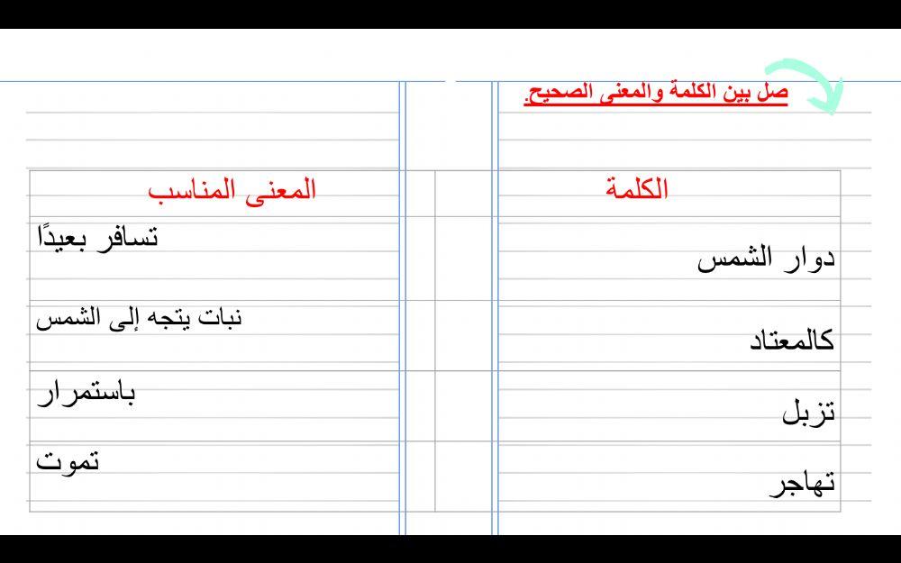ياسمين وزهرة دوار الشمس