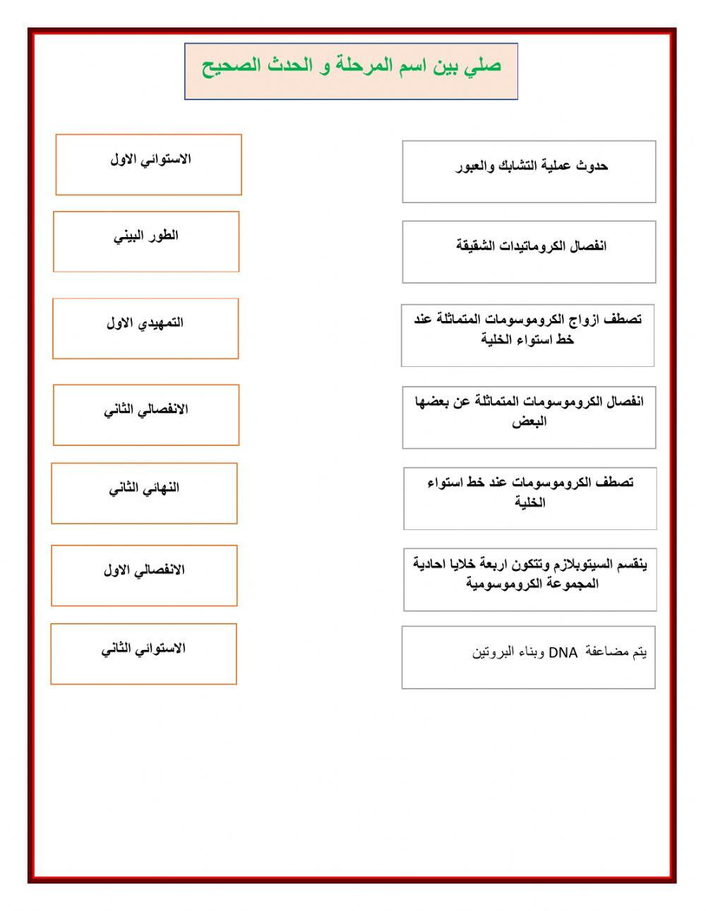 ورقة عمل الانقسام المنصف