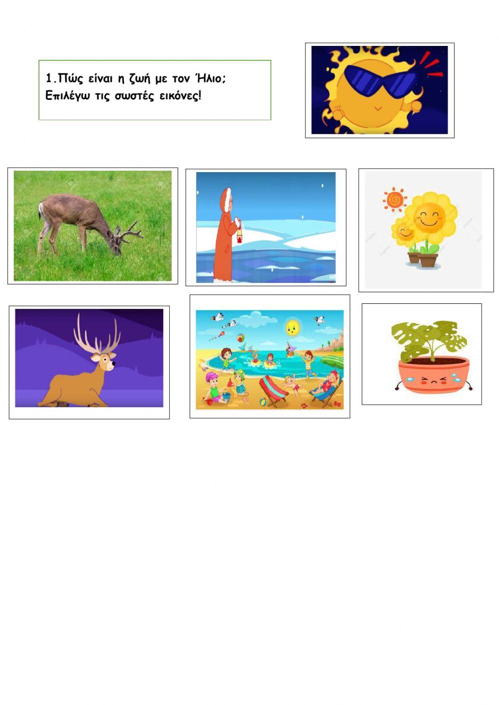 Η ζωή με ήλιο και χωρίς ήλιο!