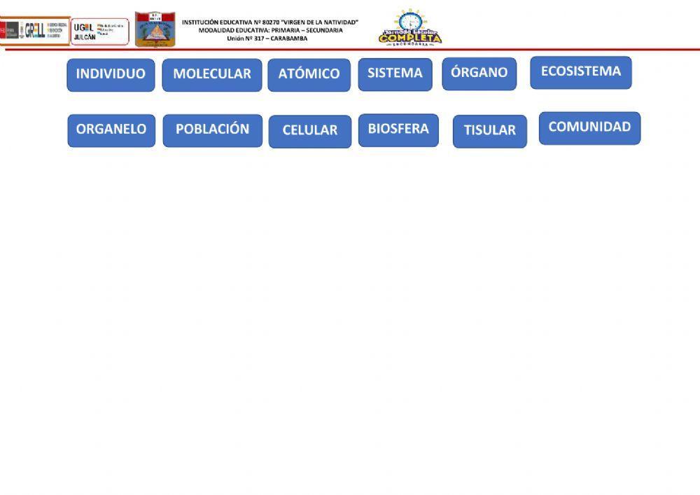 Niveles de organización