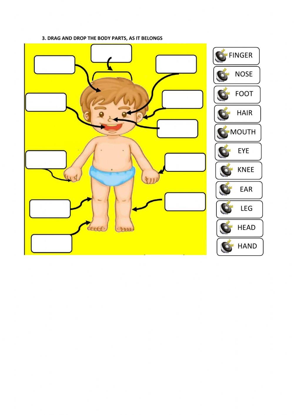 1st partial 2nd quimester 1st grade