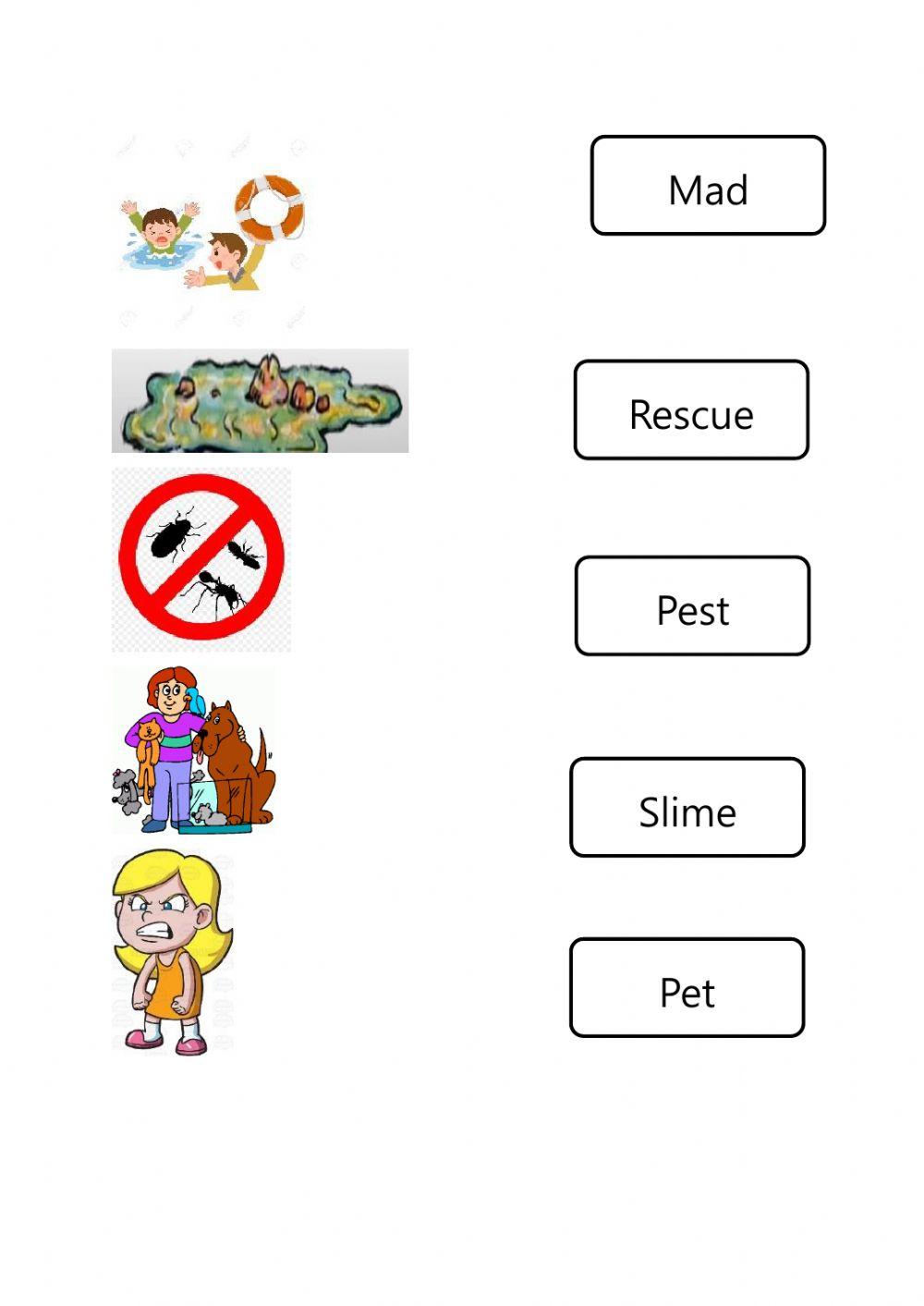 Fly Guy Worksheet 22 Dec online exercise for Live Worksheets