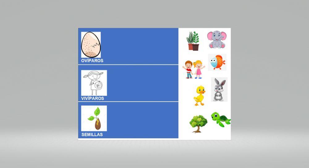 Cómo nacen los seres vivos