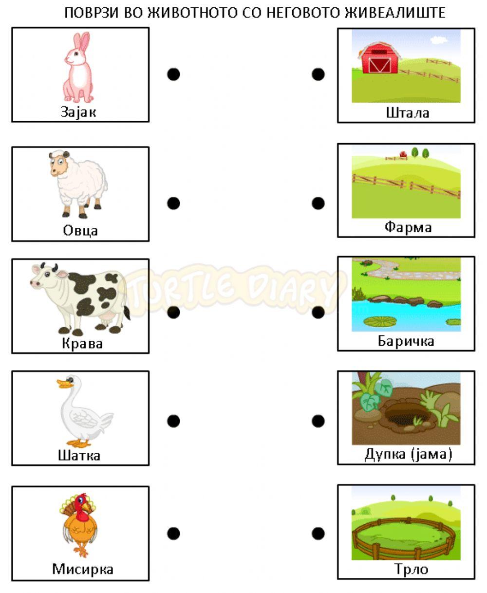 Животни и нивни живеалишта