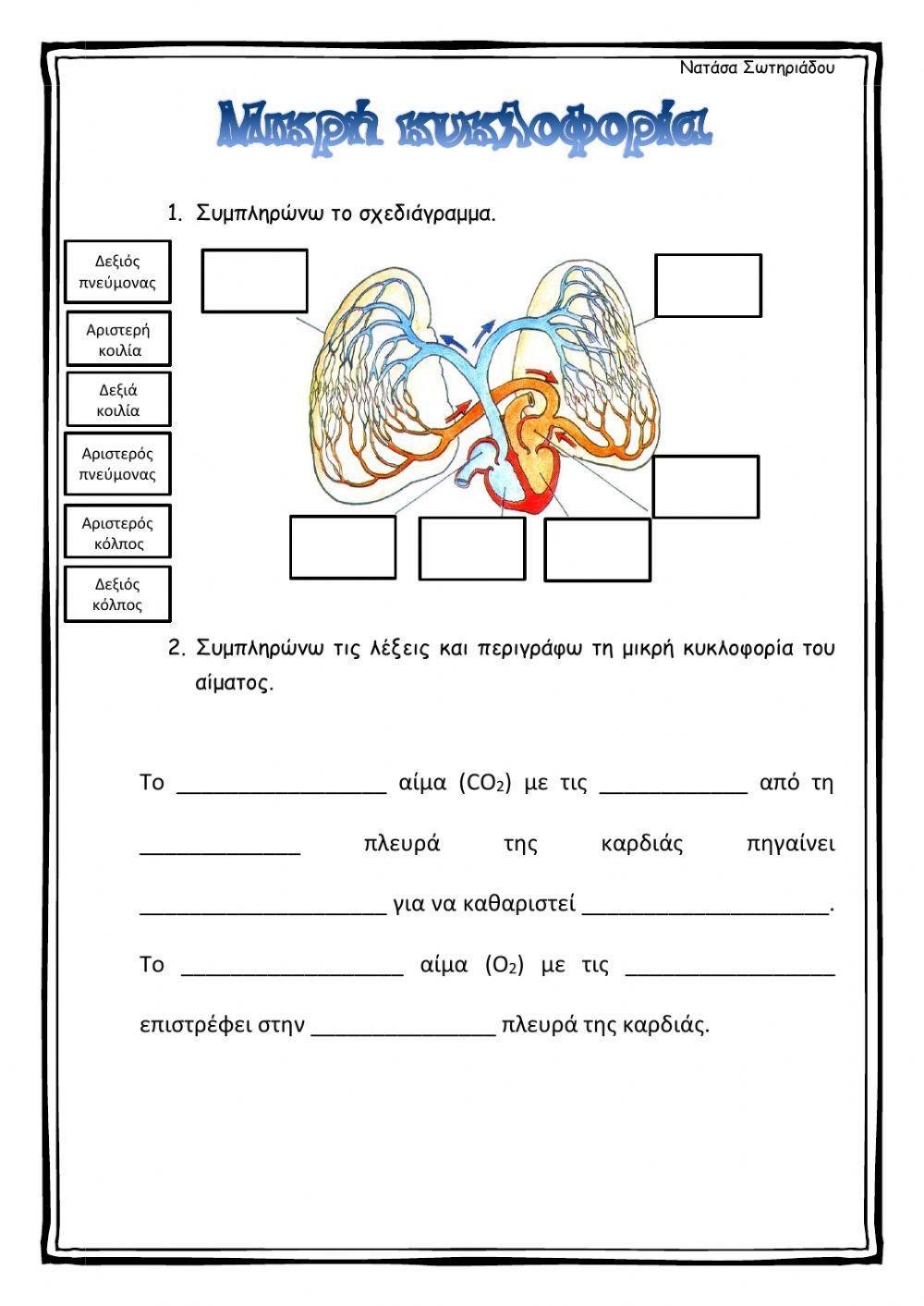 Μικρή κυκλοφορία του αίματος