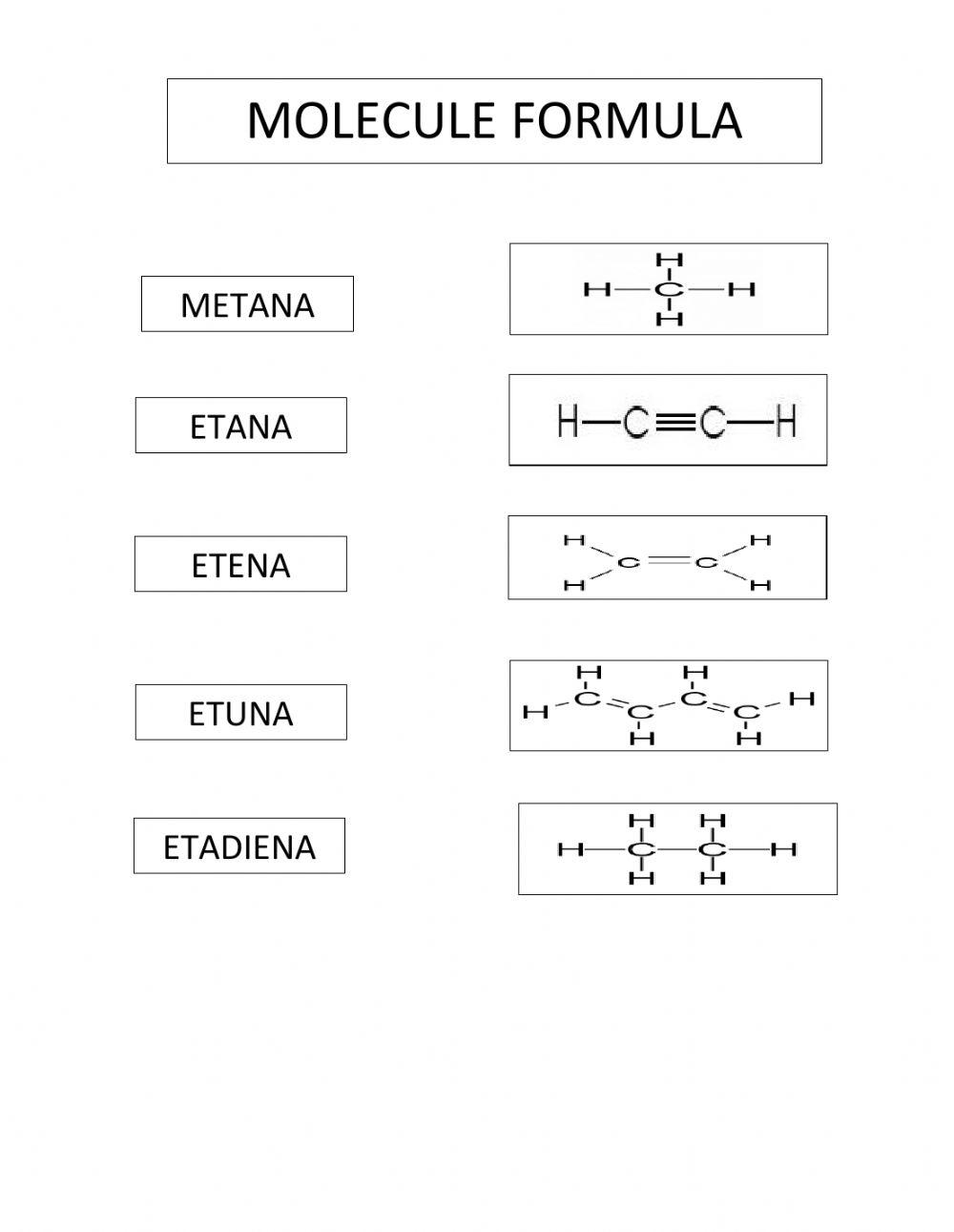 Molecule Formula