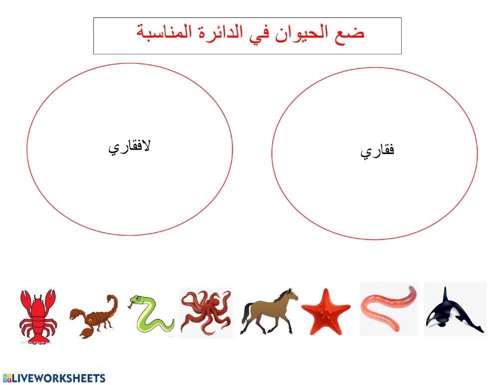 مراجعة عامة مادة العلوم الصف الرابع