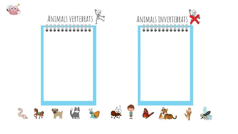 Animals vertebrats i invertebrats
