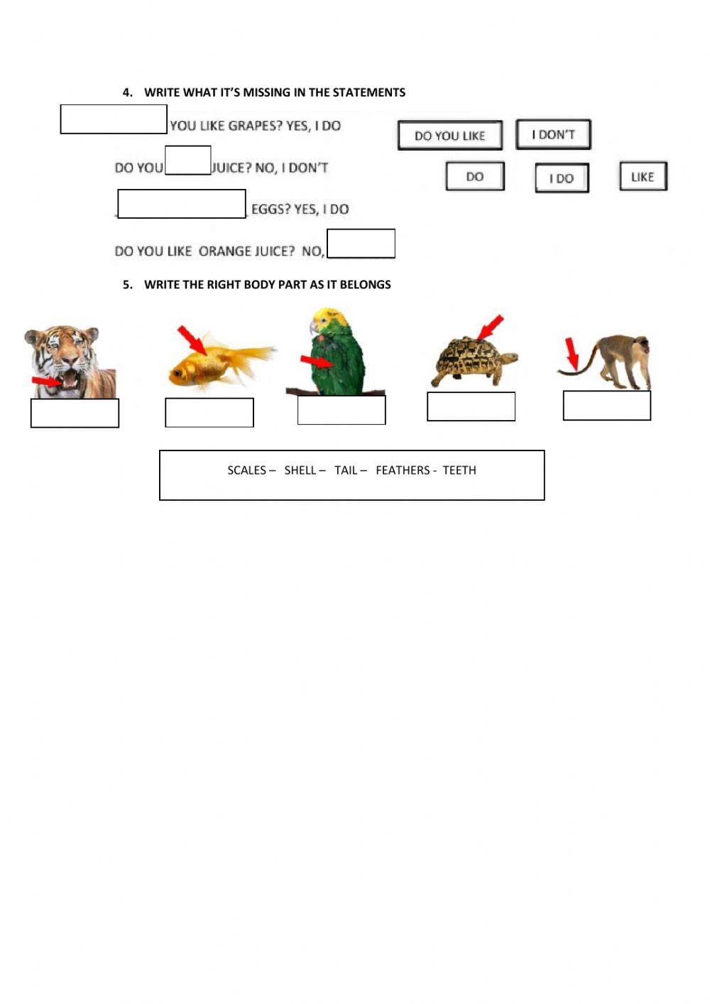 1st partial evauation 2nd quimester 2nd grade