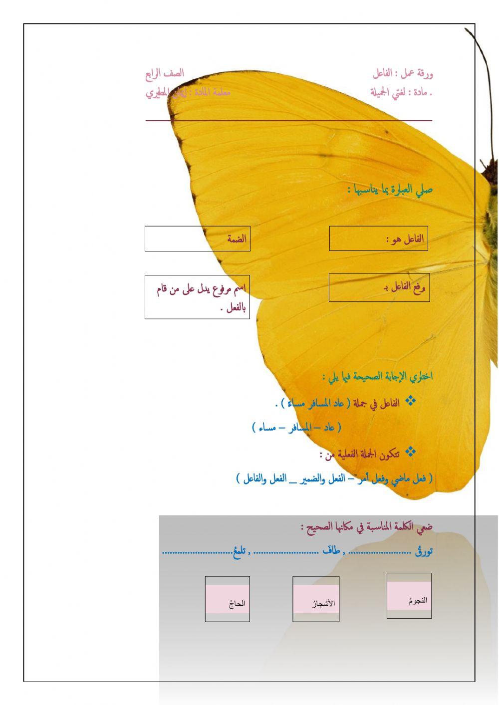 رابع ابتدائي
