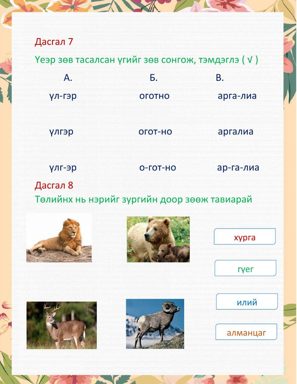 Салан баавгайн үлгэр