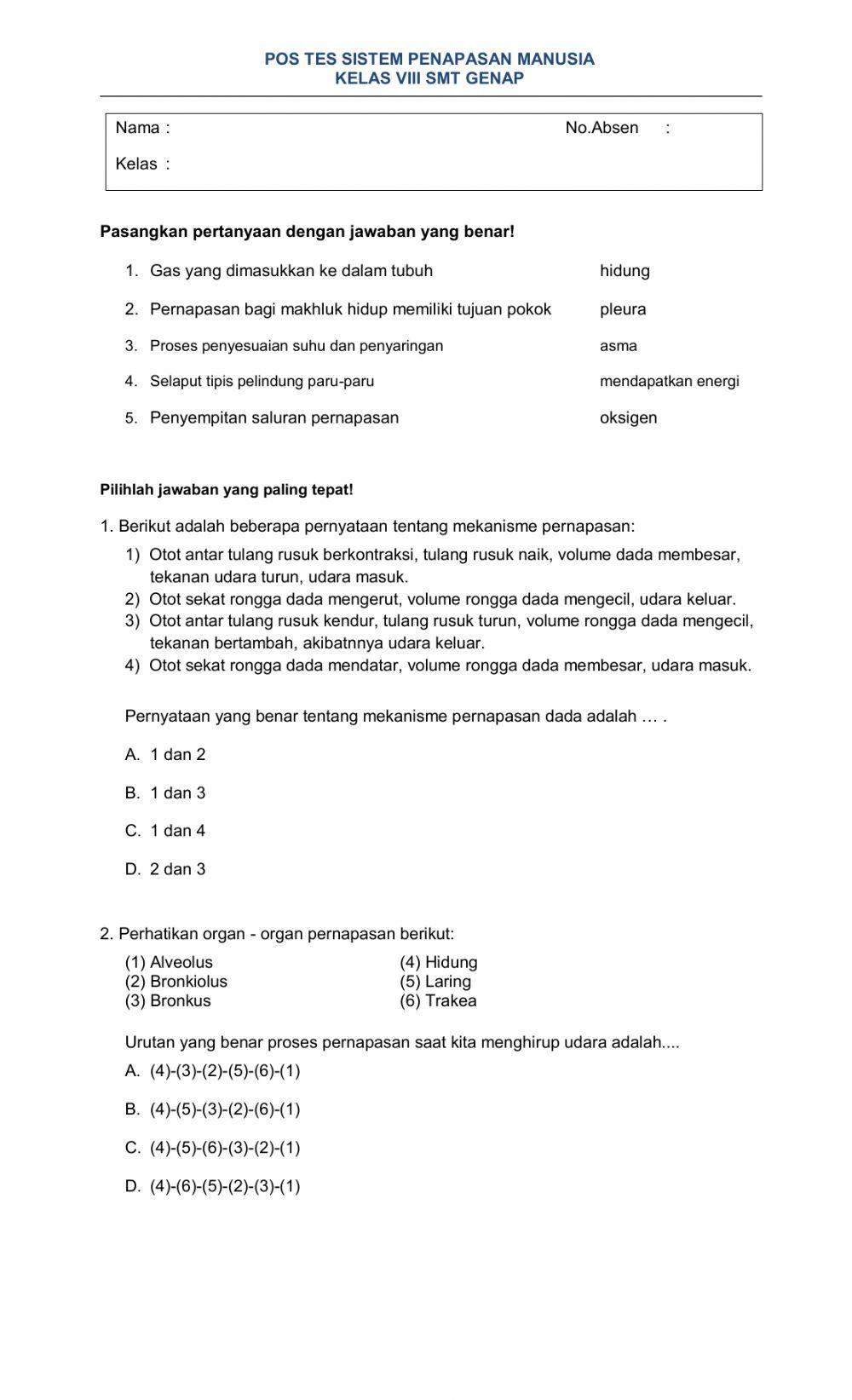 Sistem Pernapasan Manusia