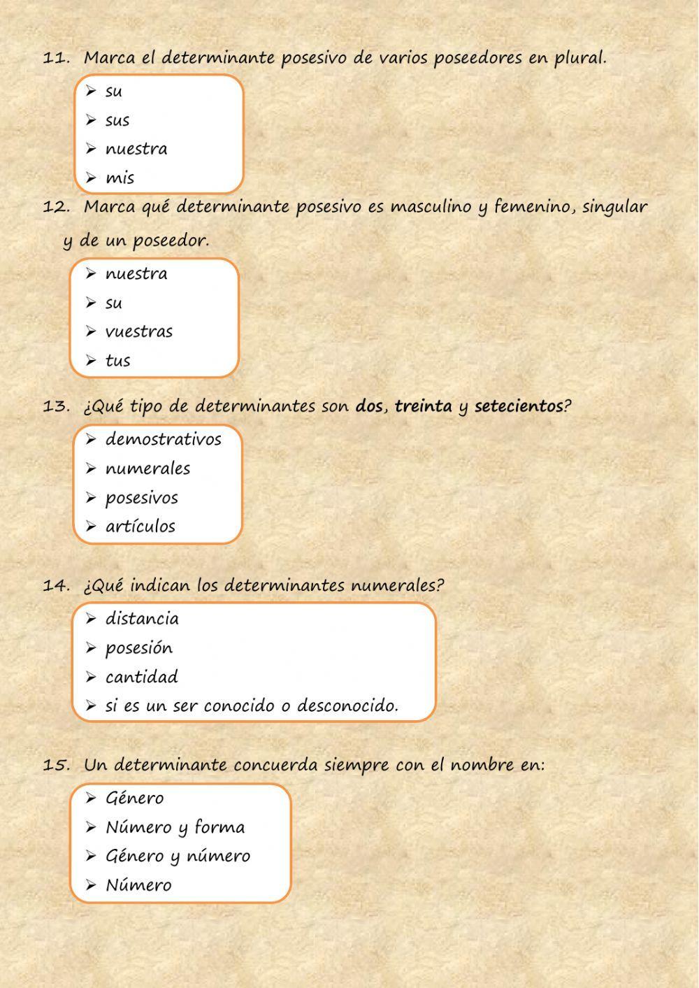 Tema 4. Gramática. Los determinantes posesivos y numerales.