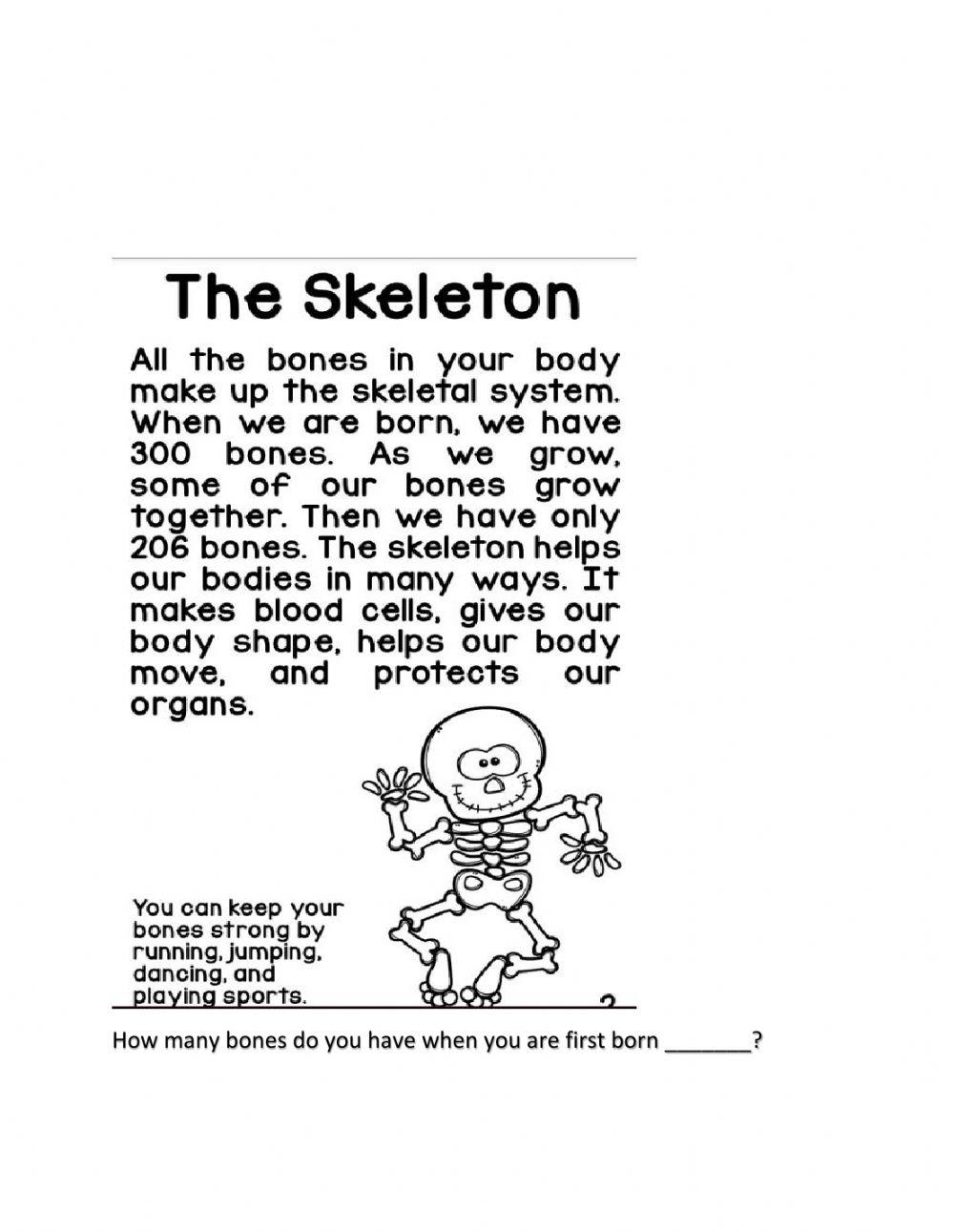 Skeletal system