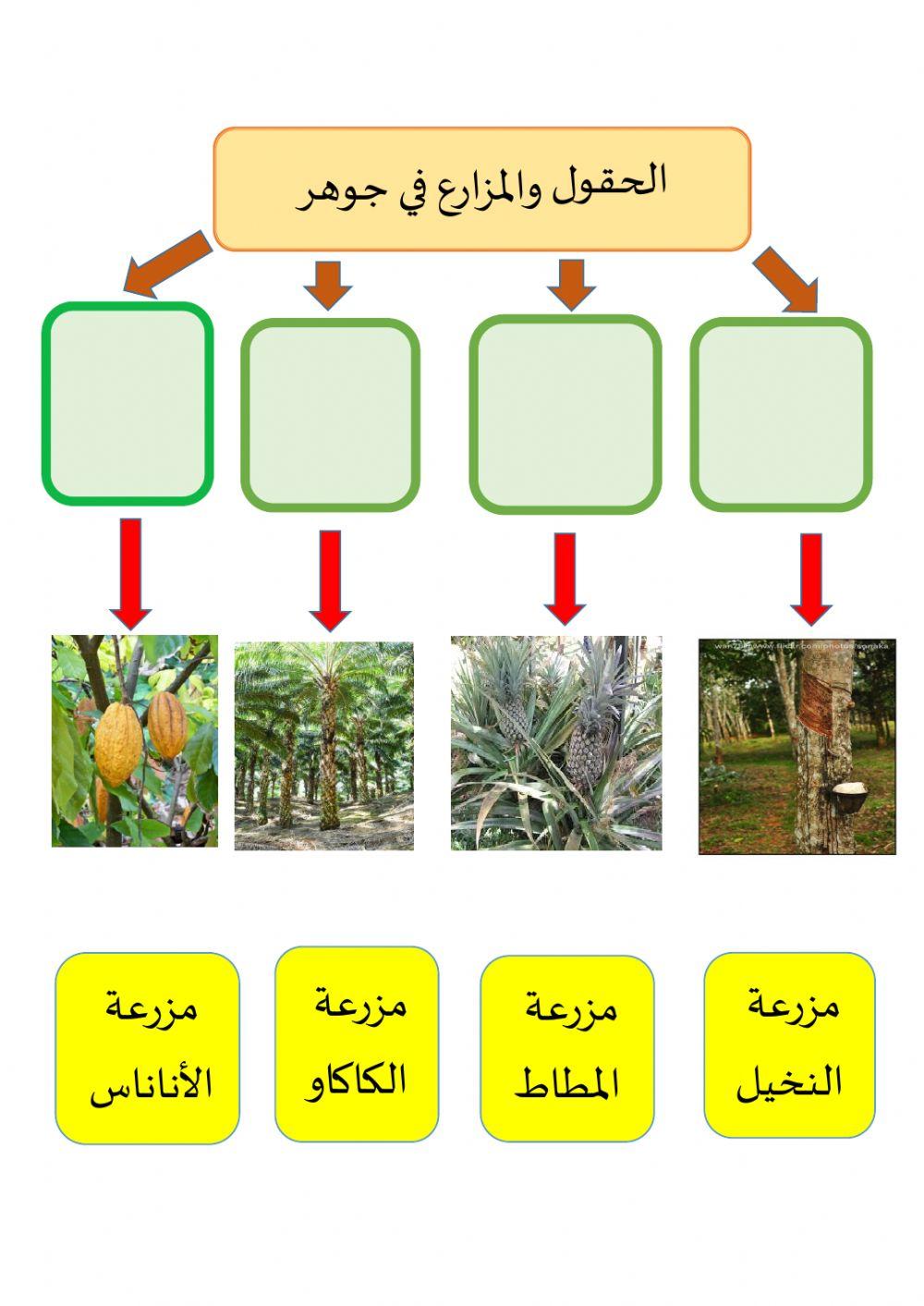 Siti Sarizah Abdullah(Darjah Enam)