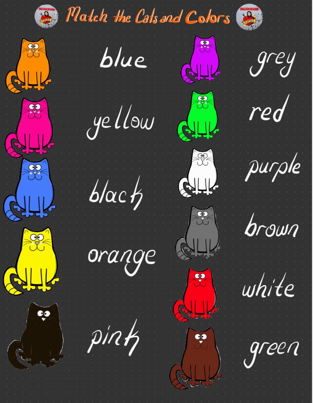 Match the Cats and Colors