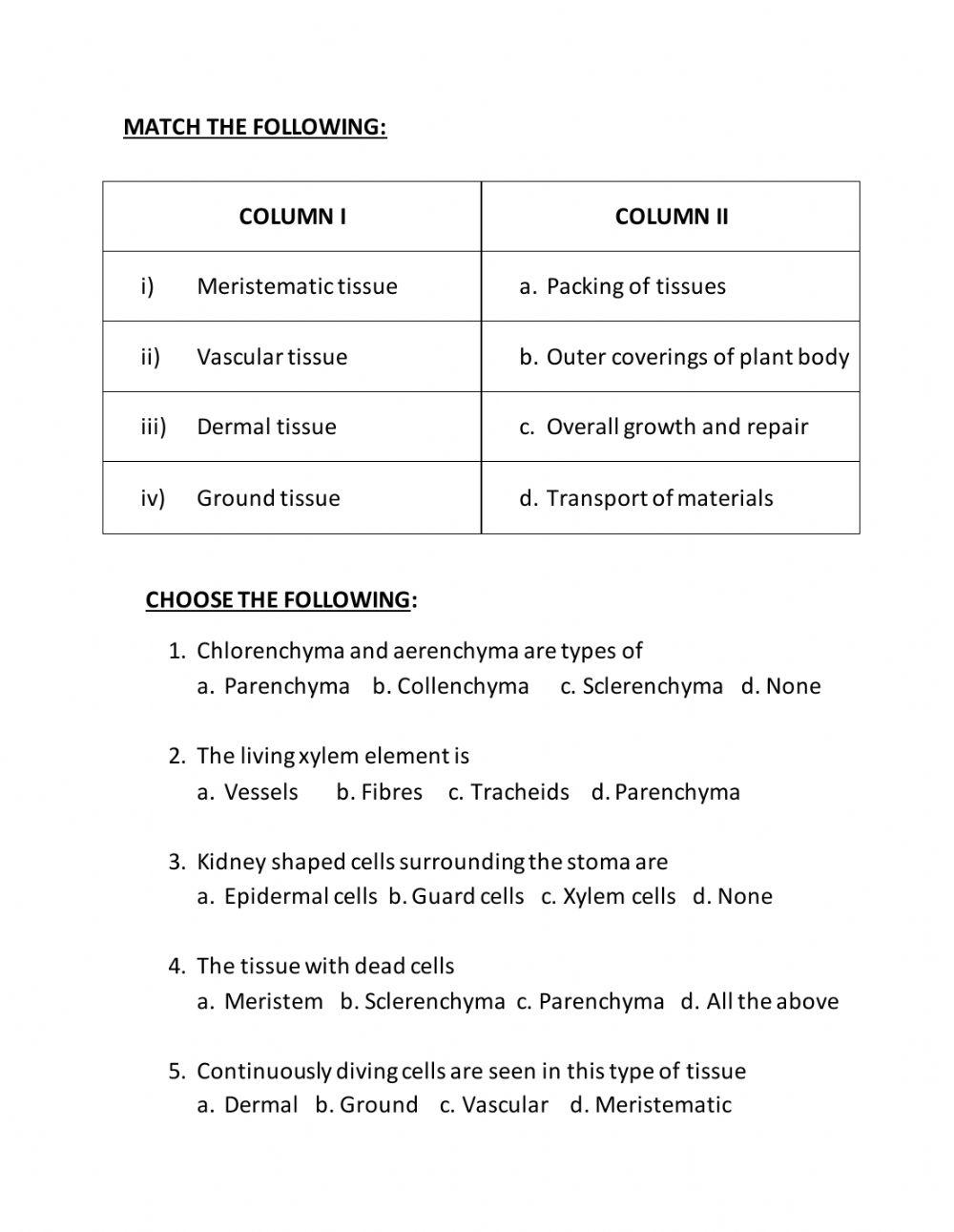 plant-tissues-607817-durga-nshes-live-worksheets