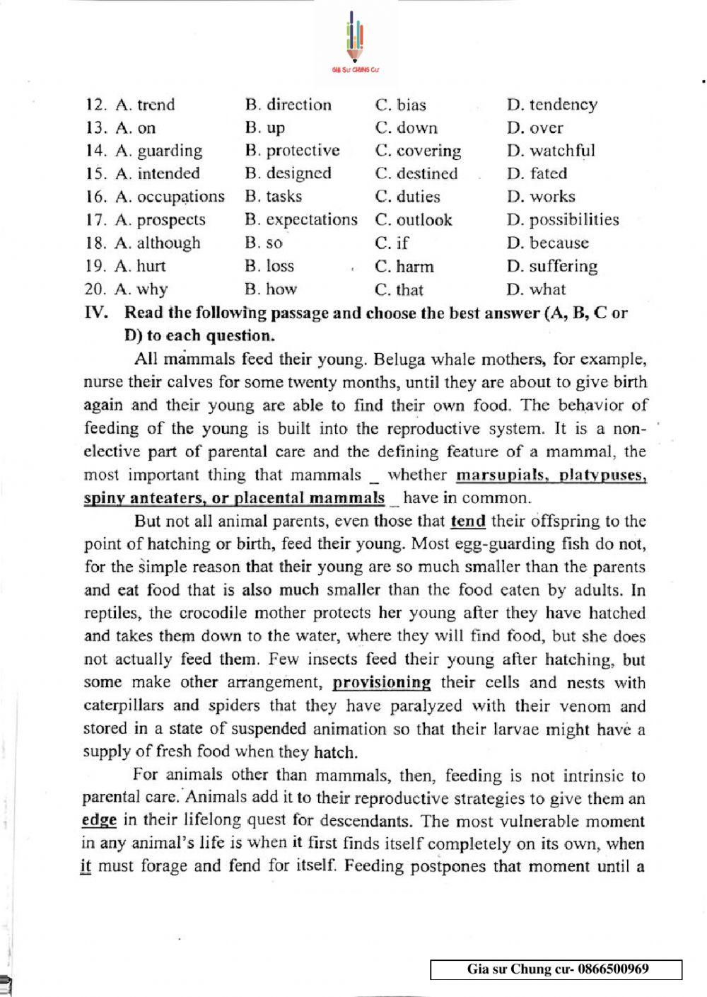 Đề thi Tiếng Anh vào lớp 10 THPT Chuyên Ngoại ngữ số 09