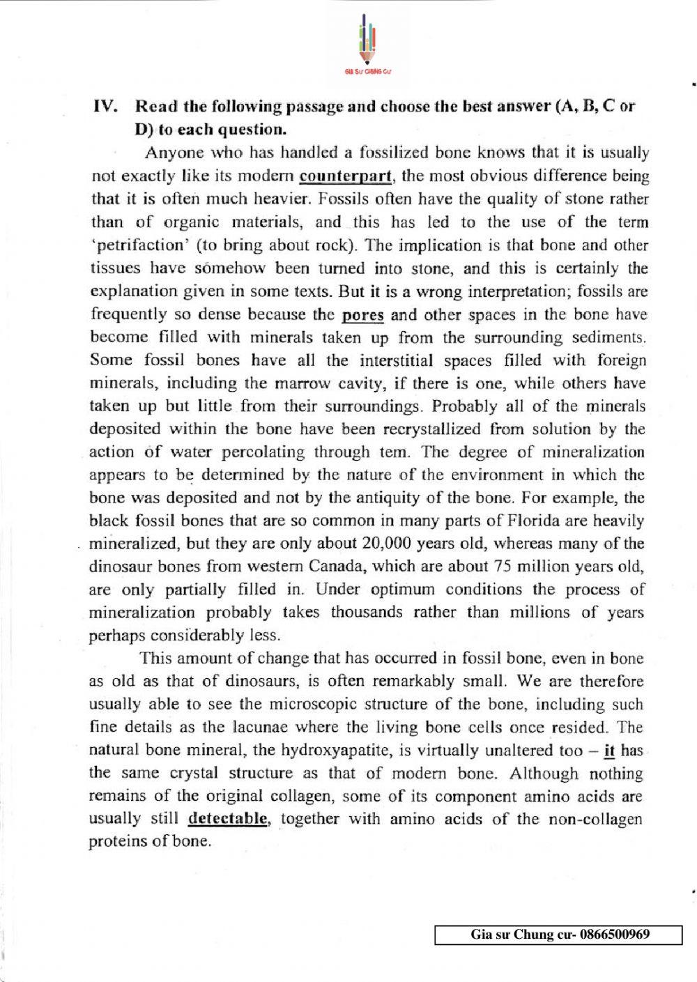 Đề thi Tiếng Anh vào lớp 10 THPT Chuyên Ngoại ngữ số 10