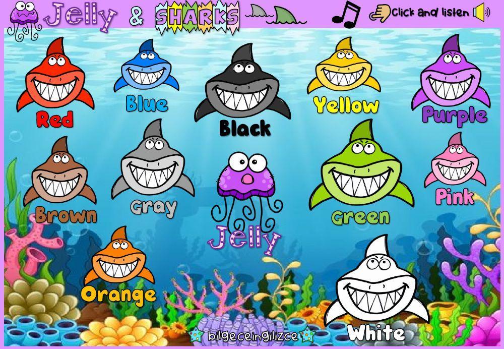 Jelly and Sharks (Colors)
