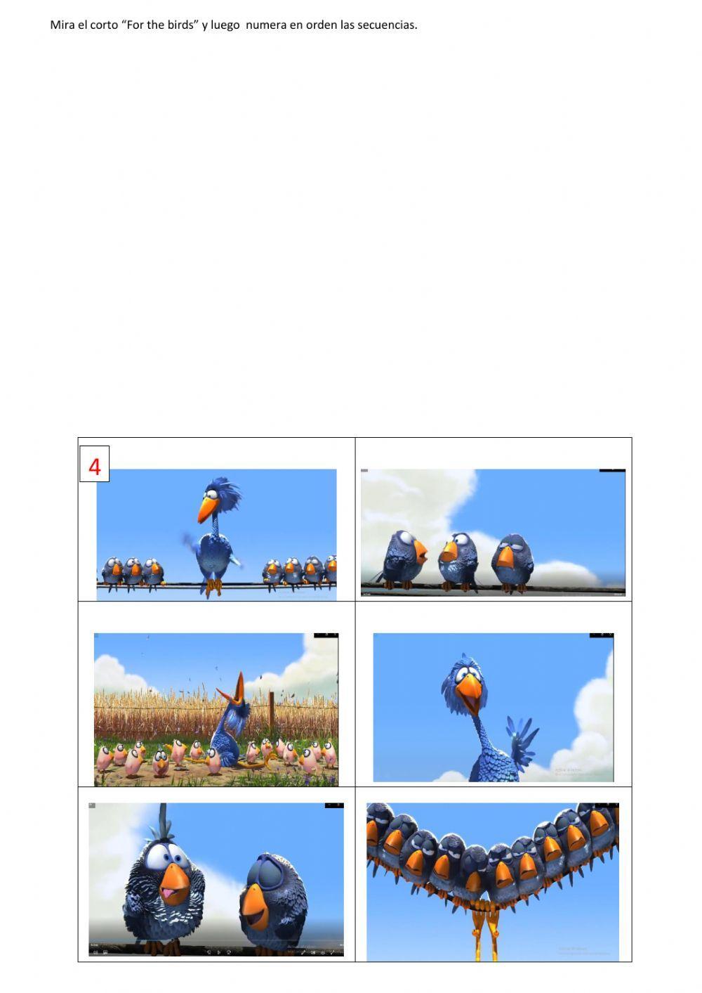 Corto -for the birds (pajaritos)