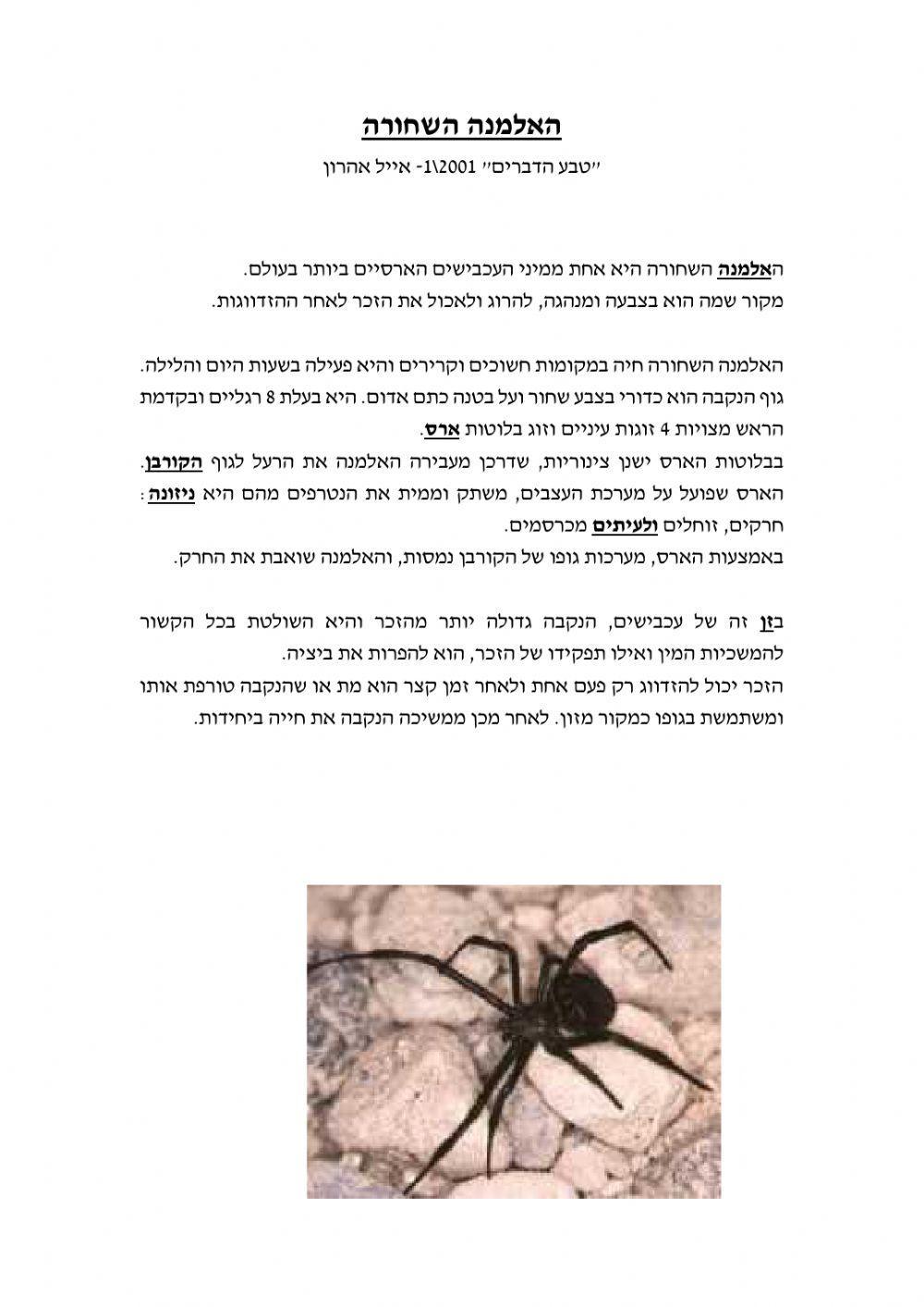 האלמנה השחורה