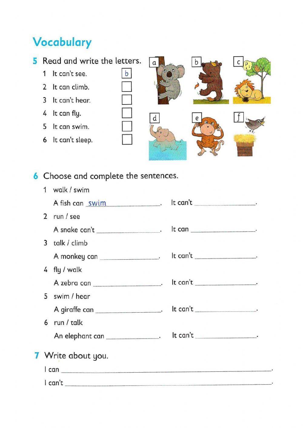 Reading and writing - Amazing animals