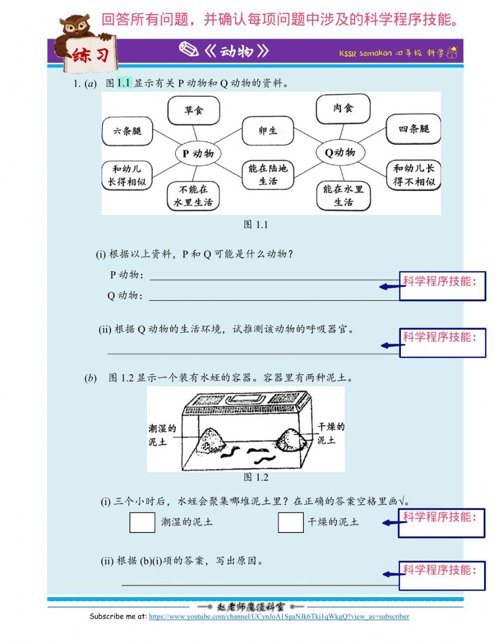 动物与植物的生命过程