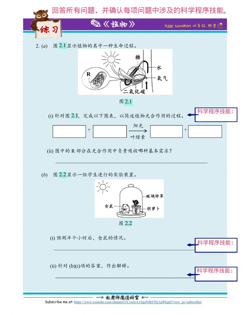 动物与植物的生命过程
