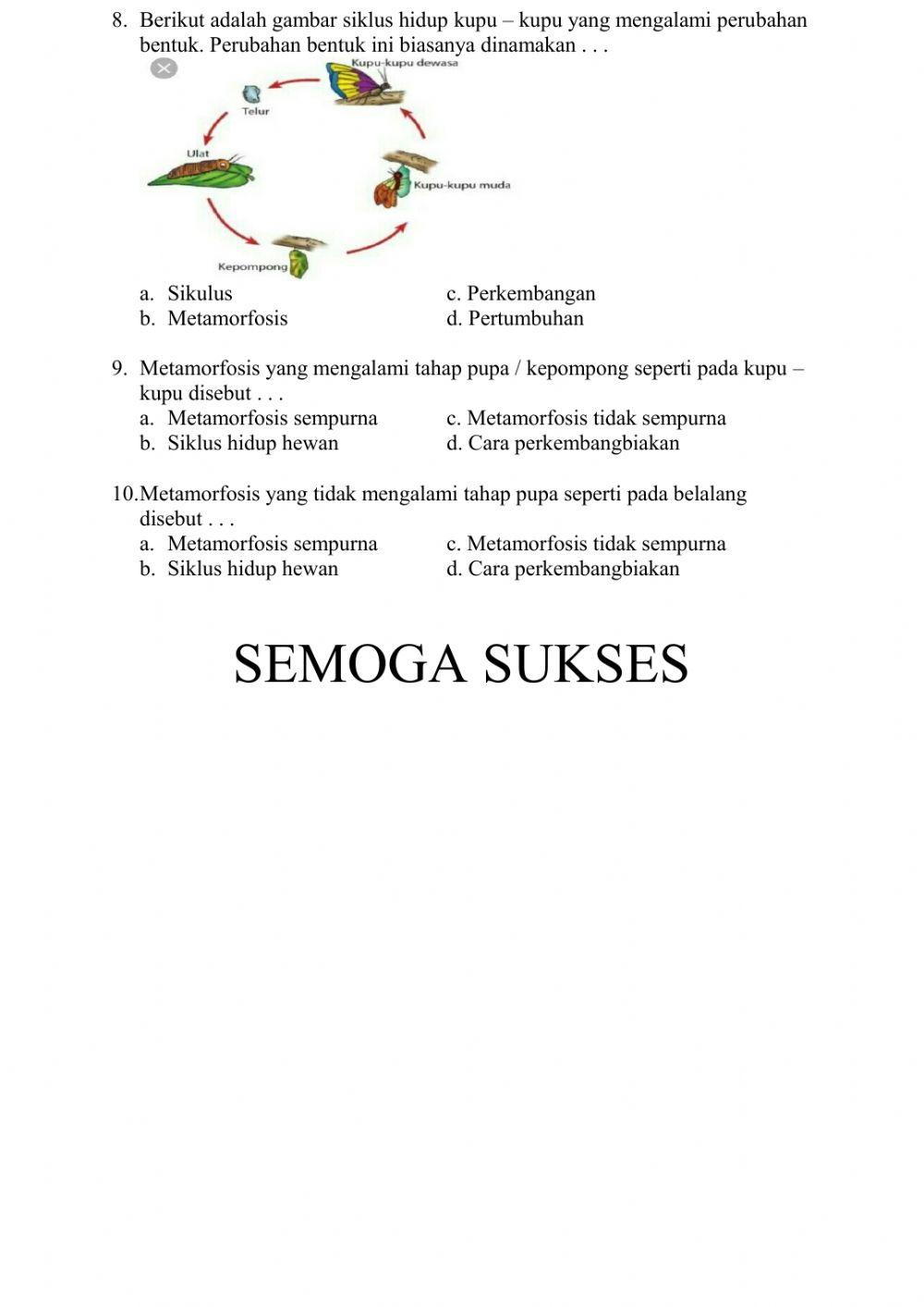 Bupena tema 6 sub1 pemb1&2