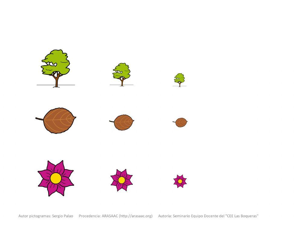 Material Teacch concepto grande-mediano-pequeño