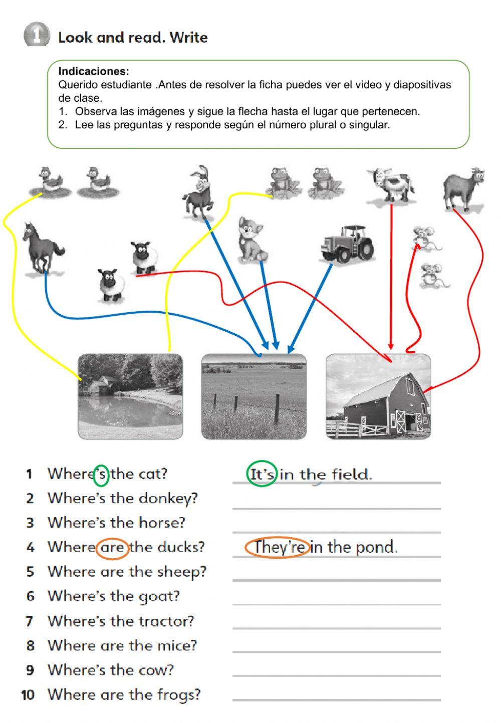 SEMANA 1-In town-On the farm