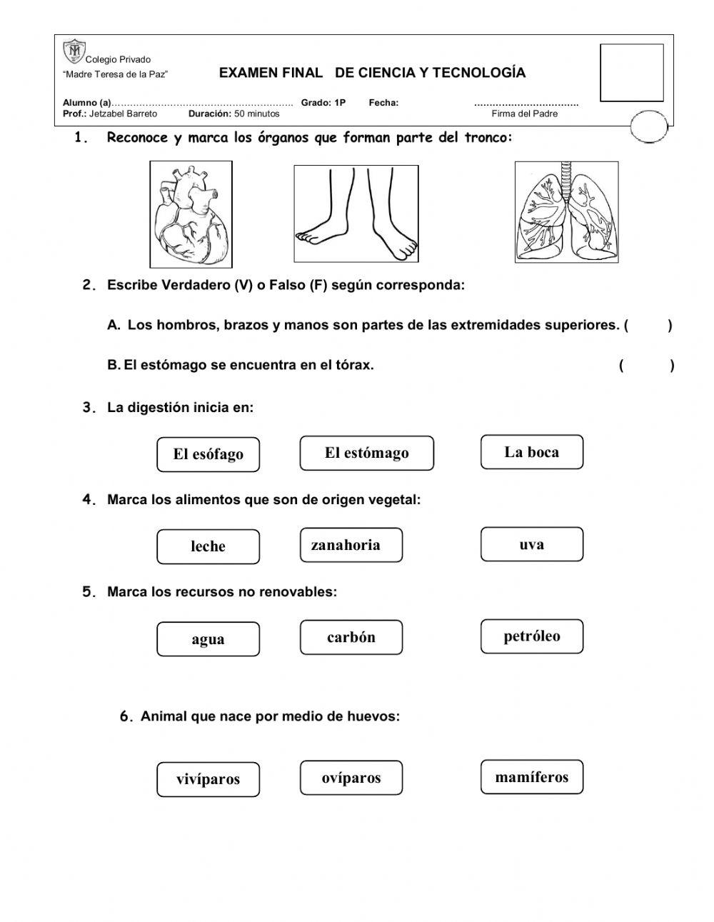 Examen final de ciencia y tecnología