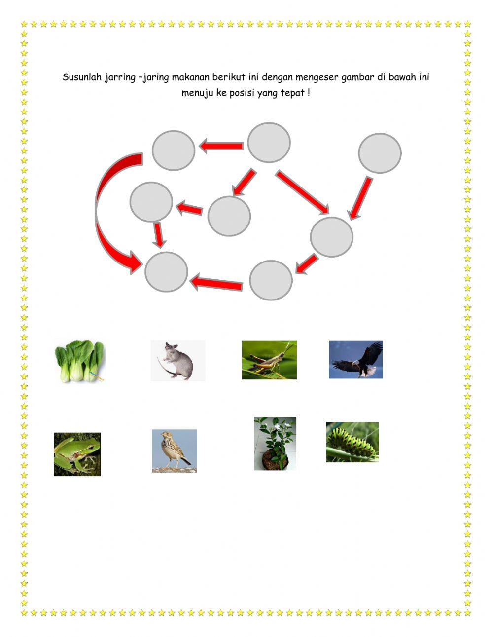LKS Kelas X BIOLOGI Ekosistem