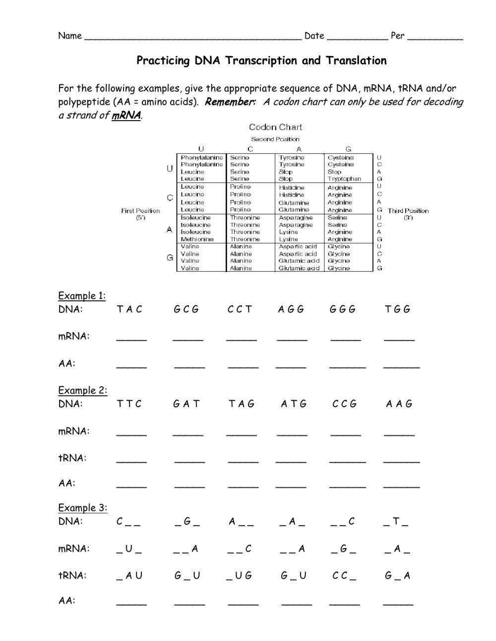 Transcription and Translation worksheet Live Worksheets