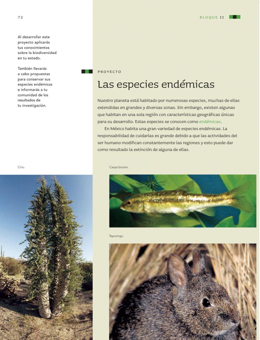 Especies endemicas