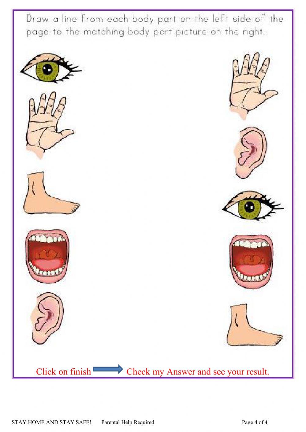 Nursery EVS Festivals & Body Parts