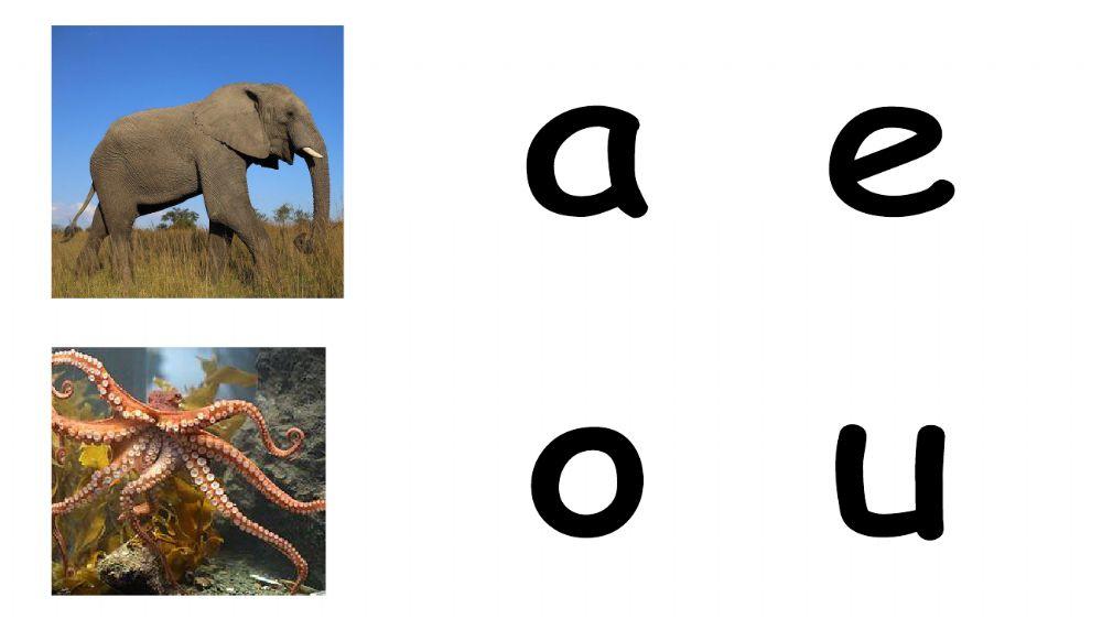 A, e, i, o, u