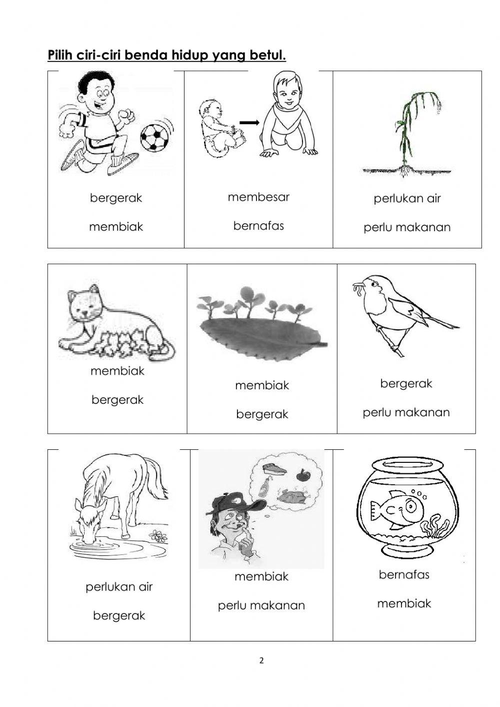 Latihan Sains tahun 1